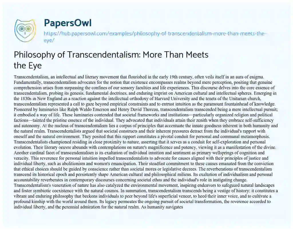 Essay on Philosophy of Transcendentalism: More Than Meets the Eye