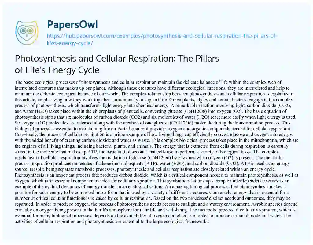 Essay on Photosynthesis and Cellular Respiration: The Pillars of Life’s Energy Cycle