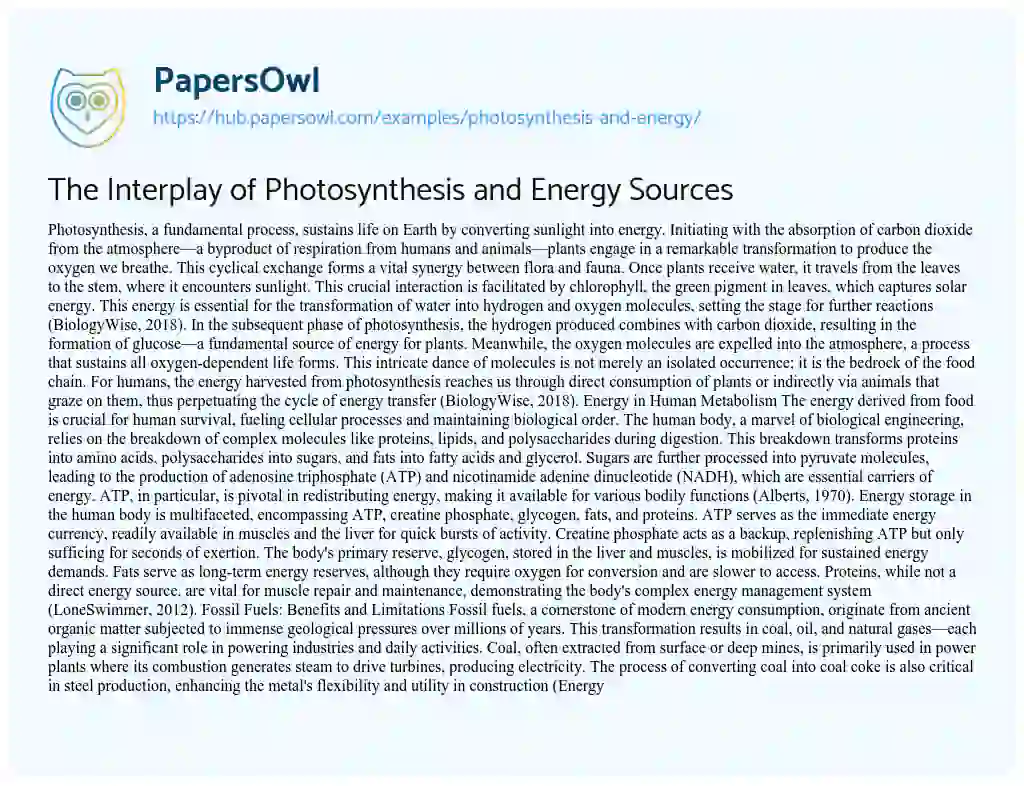 Essay on The Interplay of Photosynthesis and Energy Sources