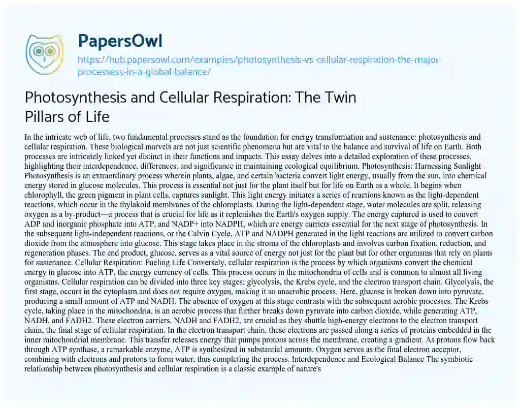 Essay on Photosynthesis and Cellular Respiration: The Twin Pillars of Life