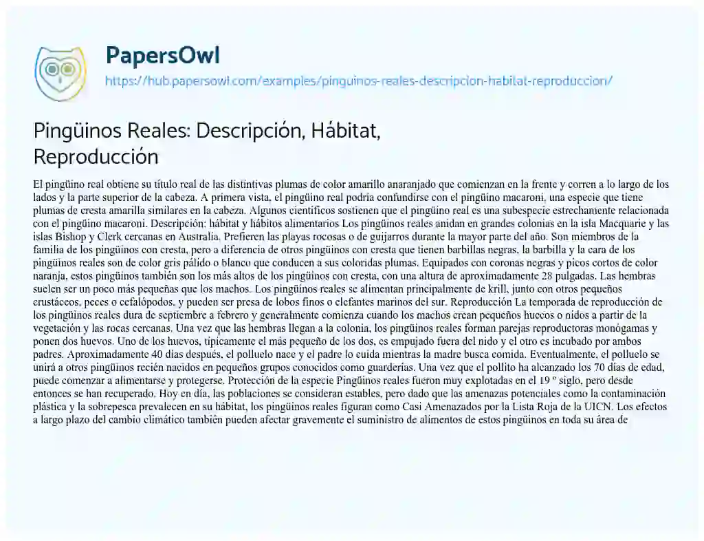 Essay on Pingüinos Reales: Descripción, Hábitat, Reproducción