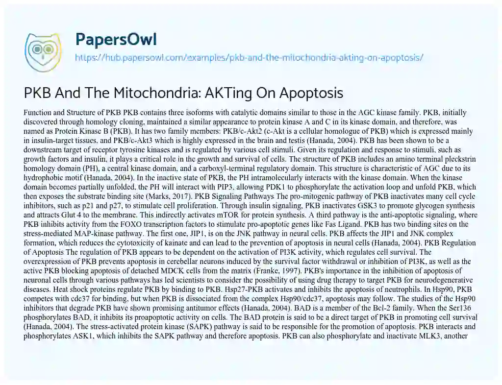 Essay on PKB And The Mitochondria: AKTing On Apoptosis