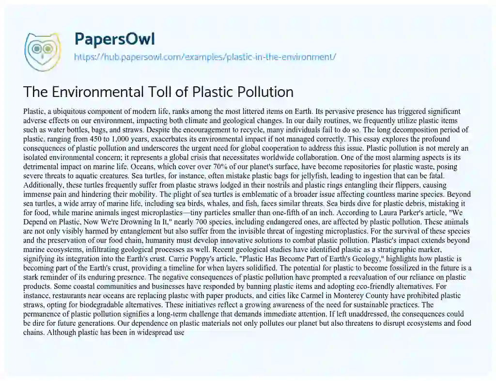 Essay on The Environmental Toll of Plastic Pollution