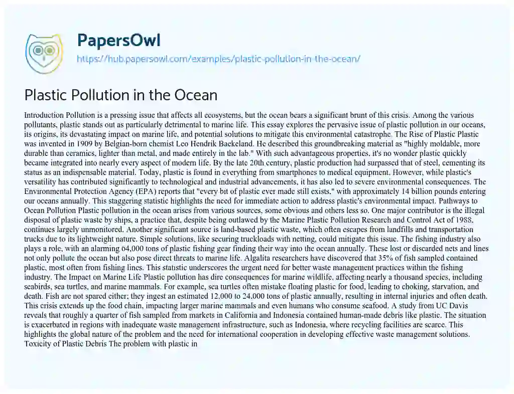 Essay on Plastic Pollution in the Ocean