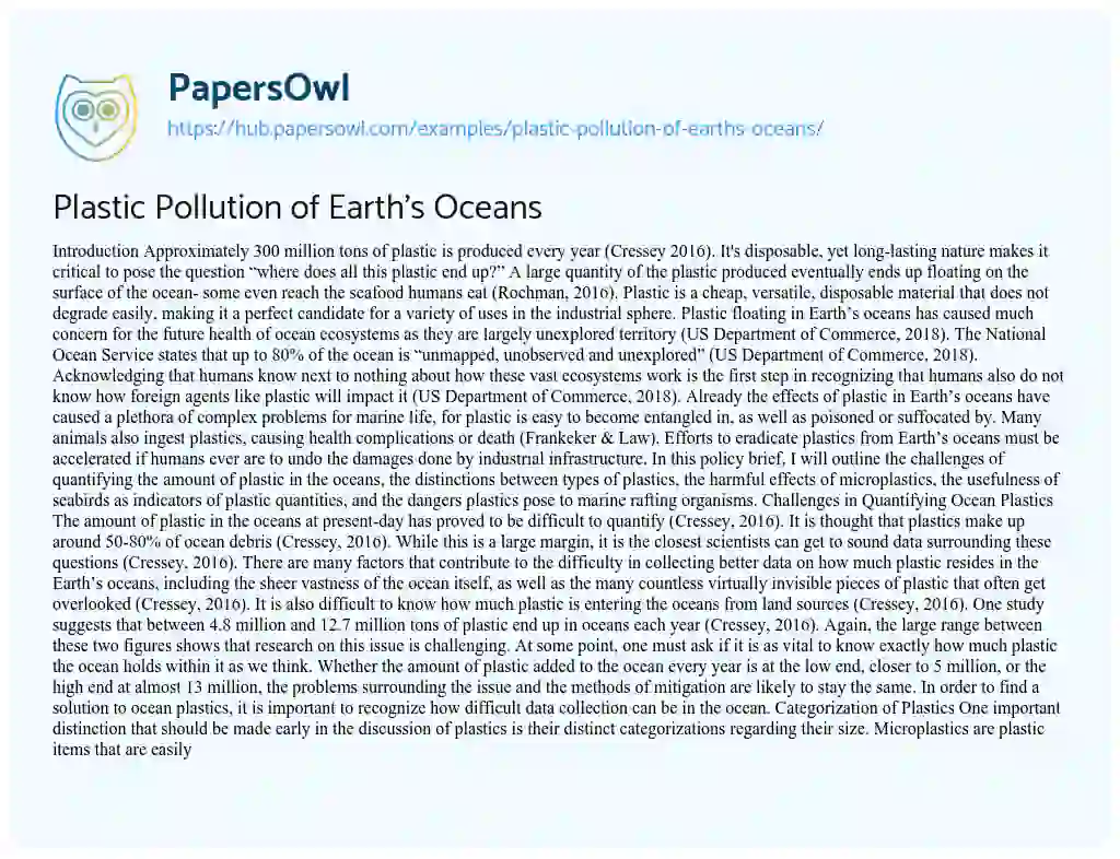 Essay on Plastic Pollution of Earth’s Oceans