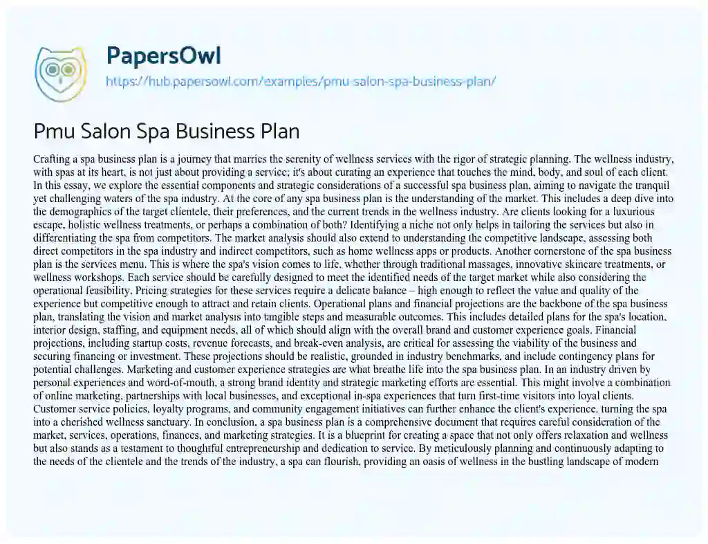 Essay on Pmu Salon Spa Business Plan
