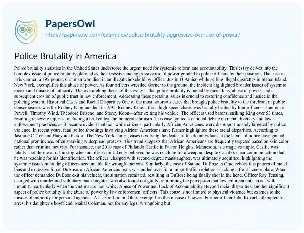 Essay on Police Brutality in America