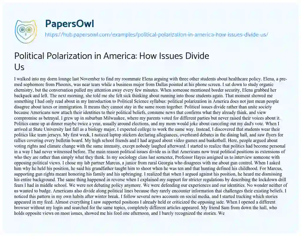 Essay on Political Polarization in America: How Issues Divide Us