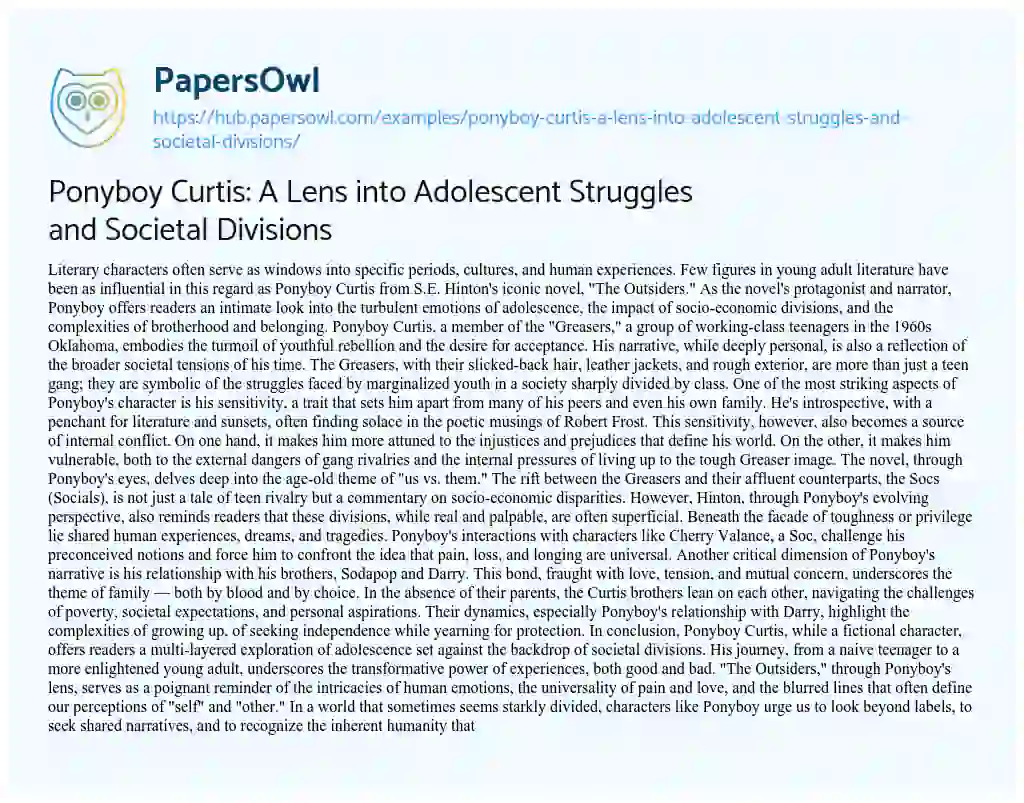 Essay on Ponyboy Curtis: A Lens into Adolescent Struggles and Societal Divisions