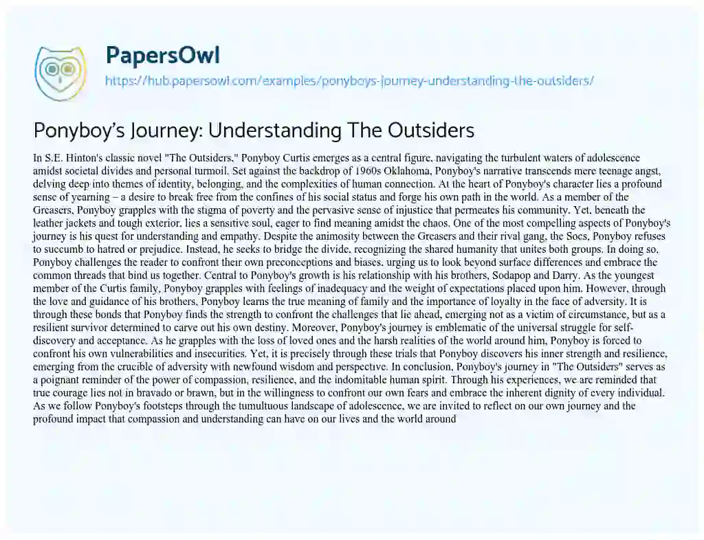 Essay on Ponyboy’s Journey: Understanding The Outsiders