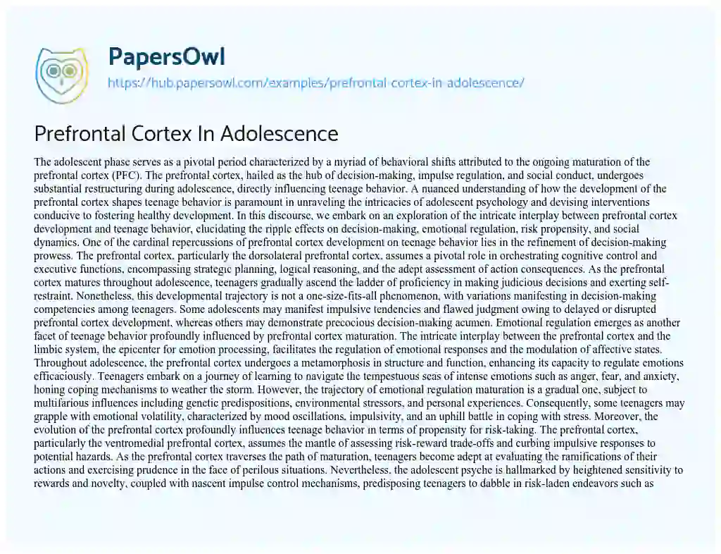 Essay on Prefrontal Cortex In Adolescence