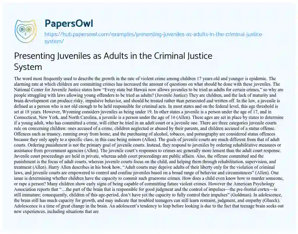 Essay on Presenting Juveniles as Adults in the Criminal Justice System