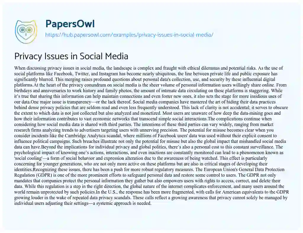 Essay on Privacy Issues in Social Media