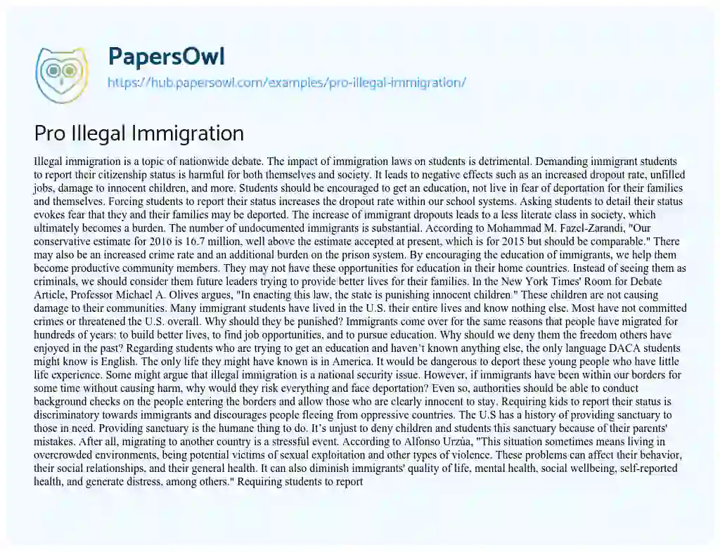 Essay on Pro Illegal Immigration
