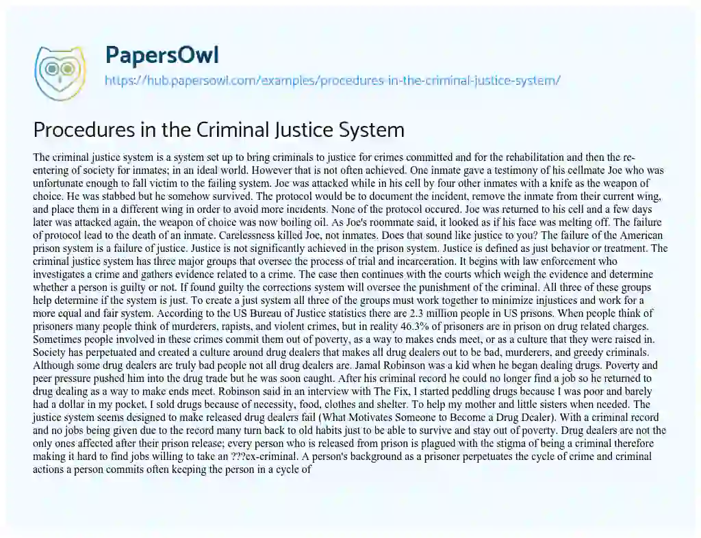 Essay on Procedures in the Criminal Justice System