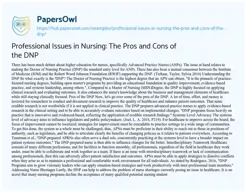 Essay on Professional Issues in Nursing: The Pros and Cons of the DNP