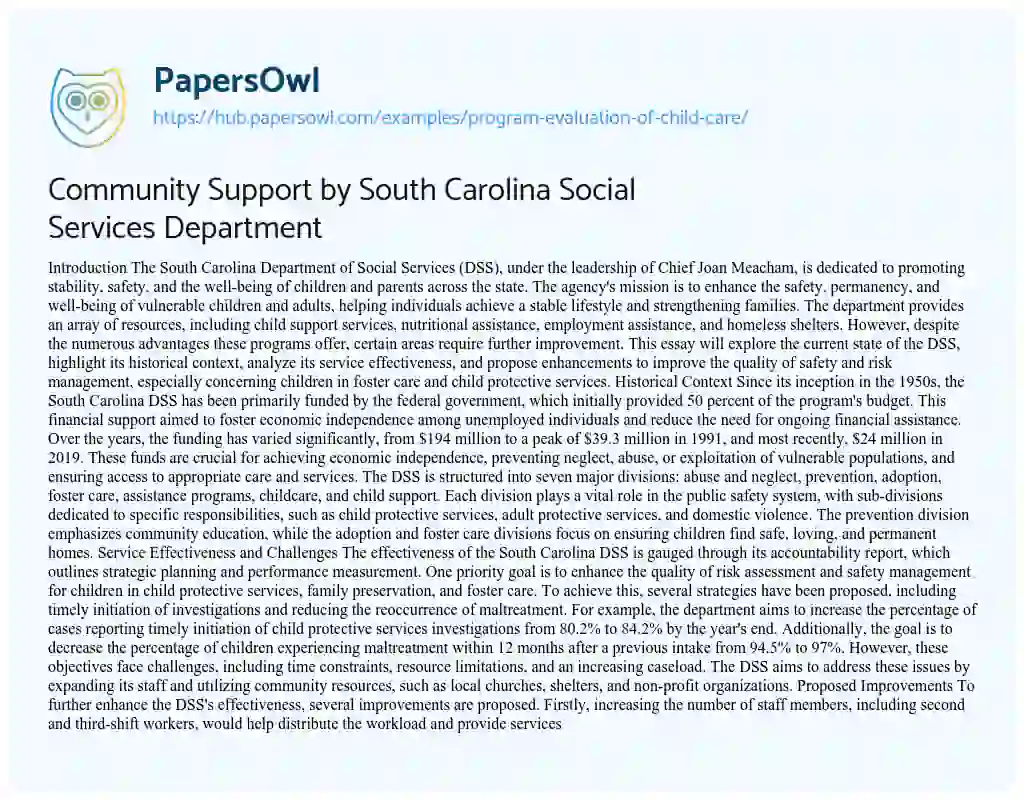 Essay on Community Support by South Carolina Social Services Department
