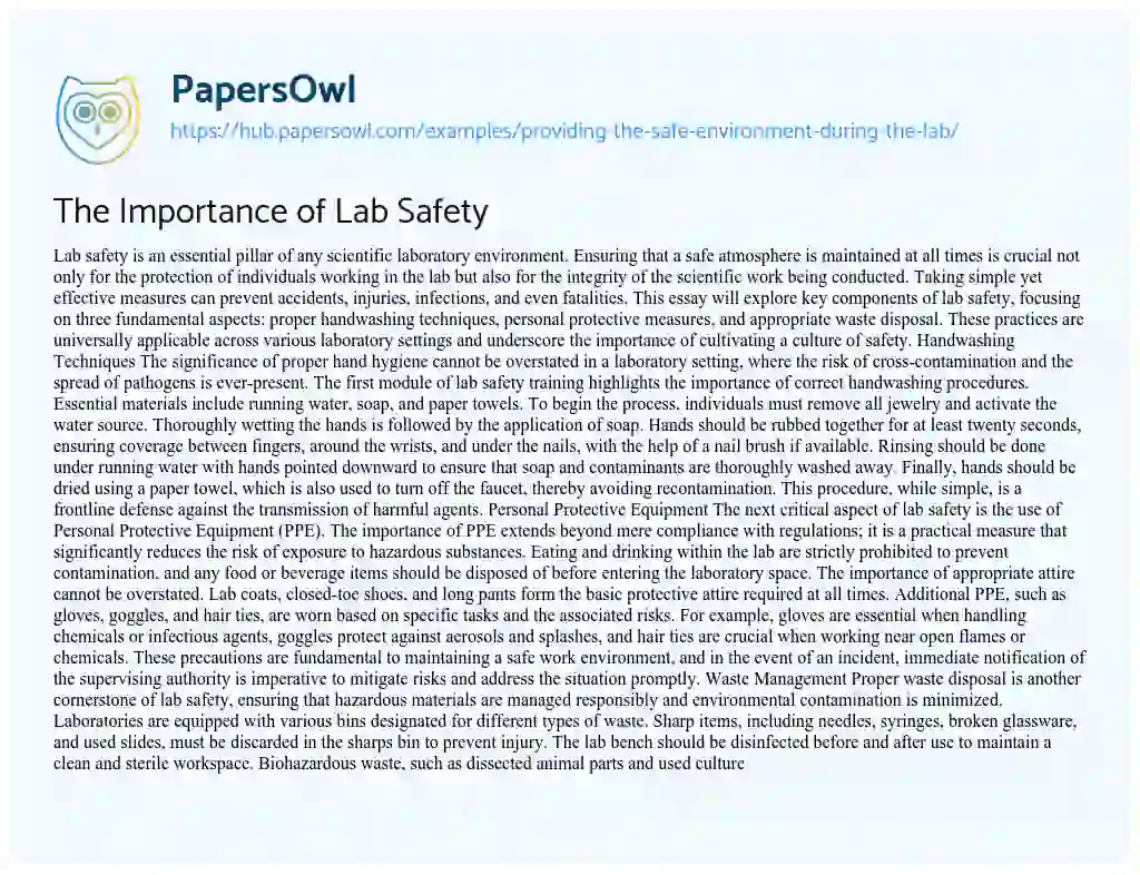 Essay on The Importance of Lab Safety