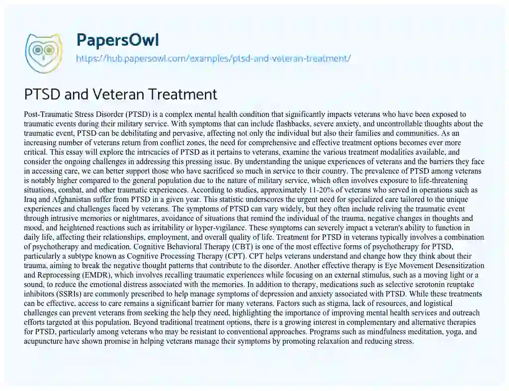 Essay on PTSD and Veteran Treatment