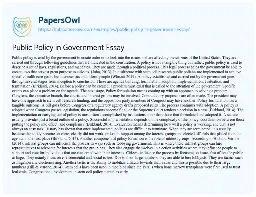 Essay on Public Policy in Government Essay