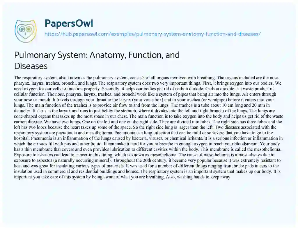 Essay on Pulmonary System: Anatomy, Function, and Diseases