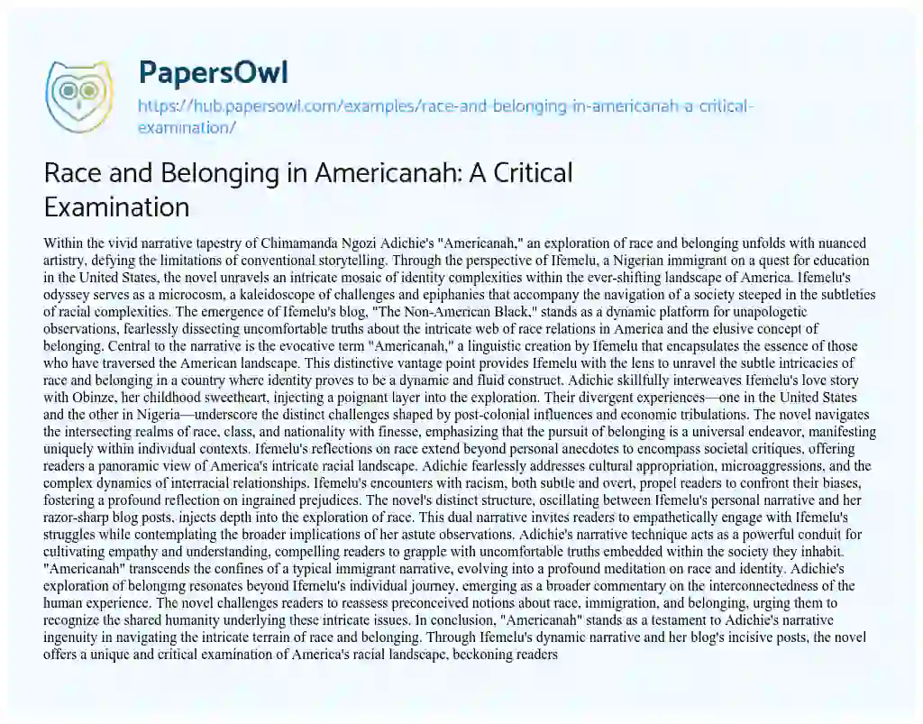 Essay on Race and Belonging in Americanah: A Critical Examination