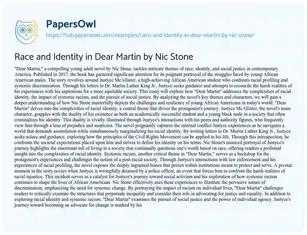 Essay on Race and Identity in Dear Martin by Nic Stone