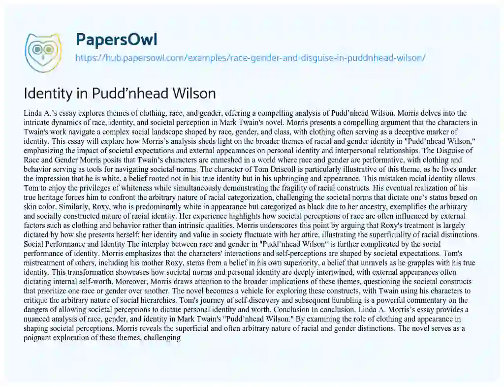 Essay on Identity in Pudd’nhead Wilson