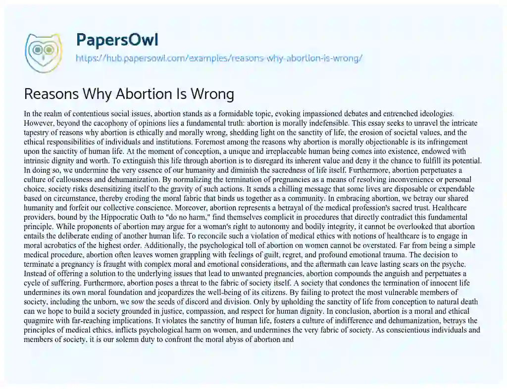 Essay on Reasons Why Abortion Is Wrong
