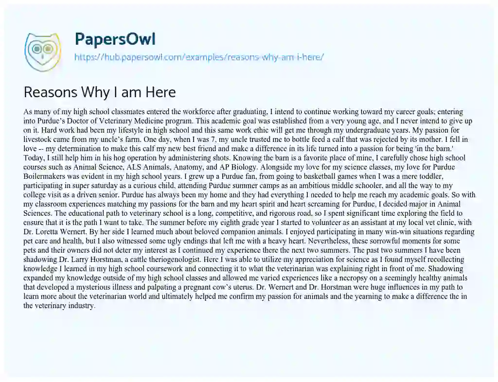 Essay on Reasons Why I am Here