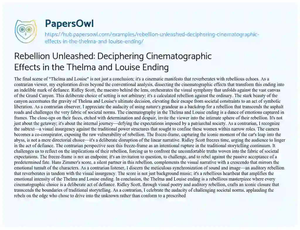 Essay on Rebellion Unleashed: Deciphering Cinematographic Effects in the Thelma and Louise Ending