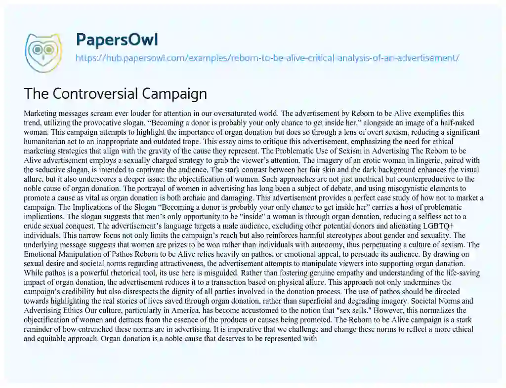 Essay on The Controversial Campaign