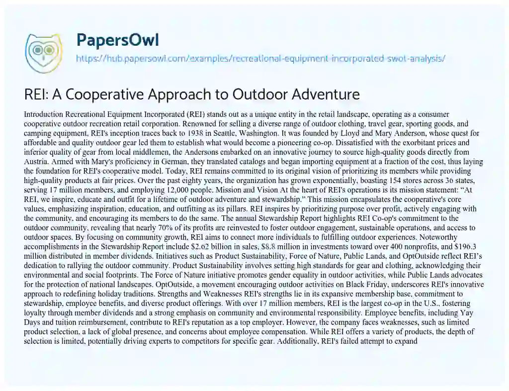 Essay on REI: A Cooperative Approach to Outdoor Adventure