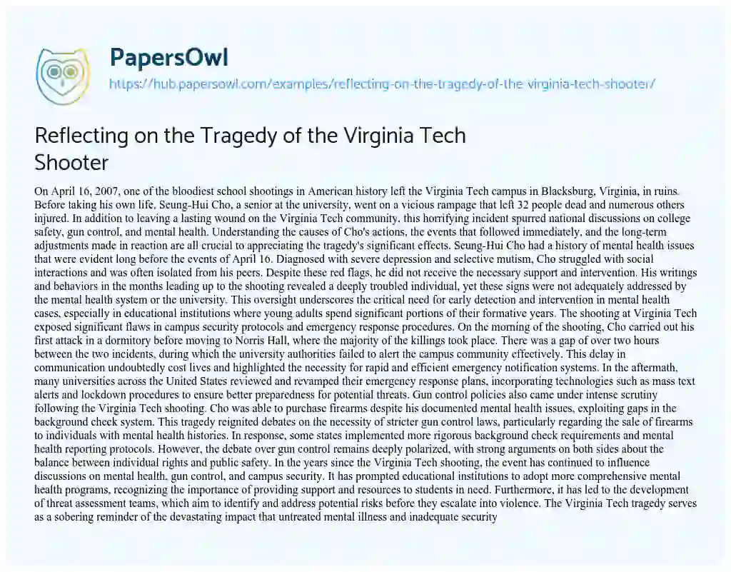 Essay on Reflecting on the Tragedy of the Virginia Tech Shooter