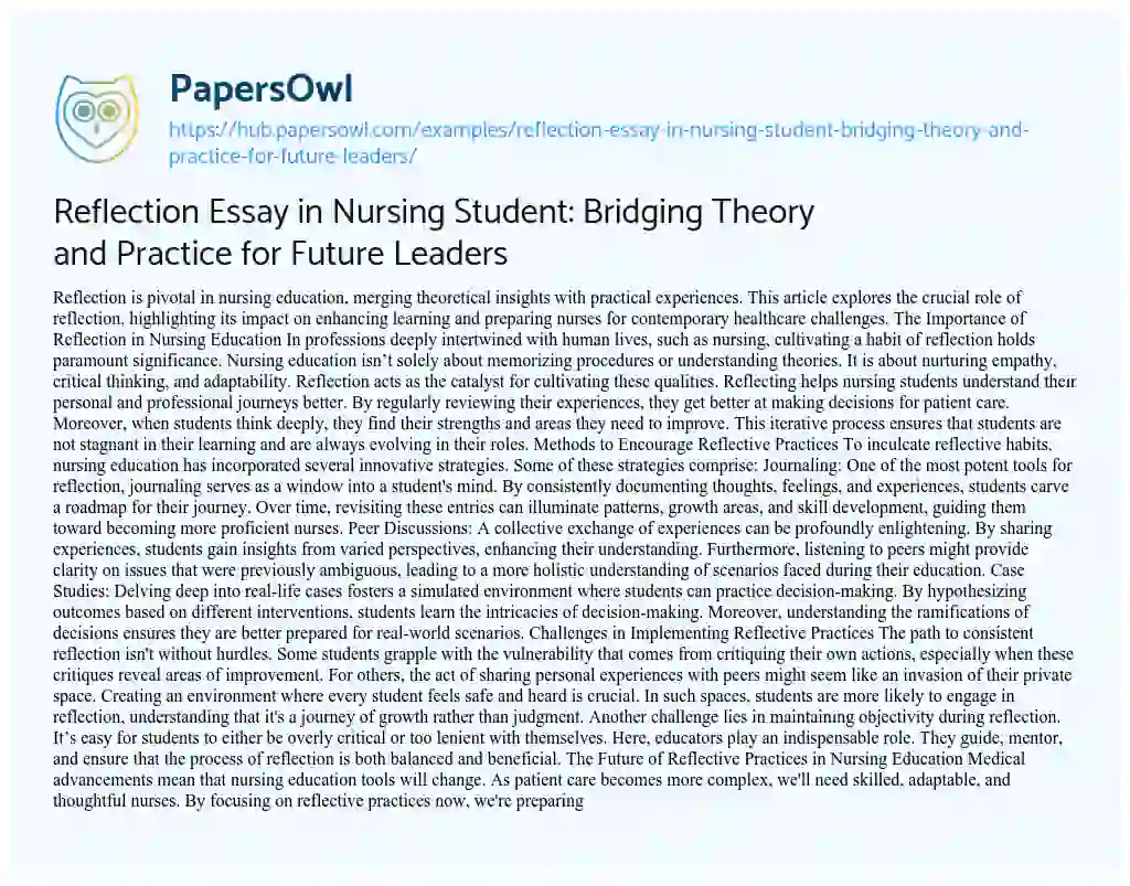 Essay on Reflection Essay in Nursing Student: Bridging Theory and Practice for Future Leaders
