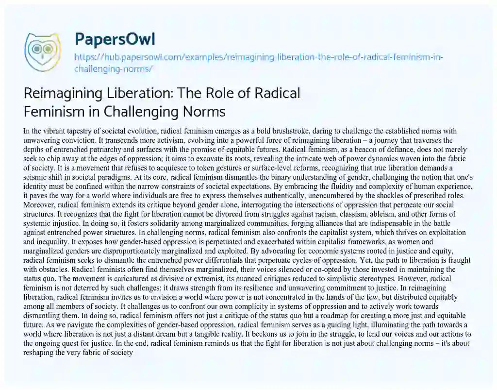 Essay on Reimagining Liberation: The Role of Radical Feminism in Challenging Norms