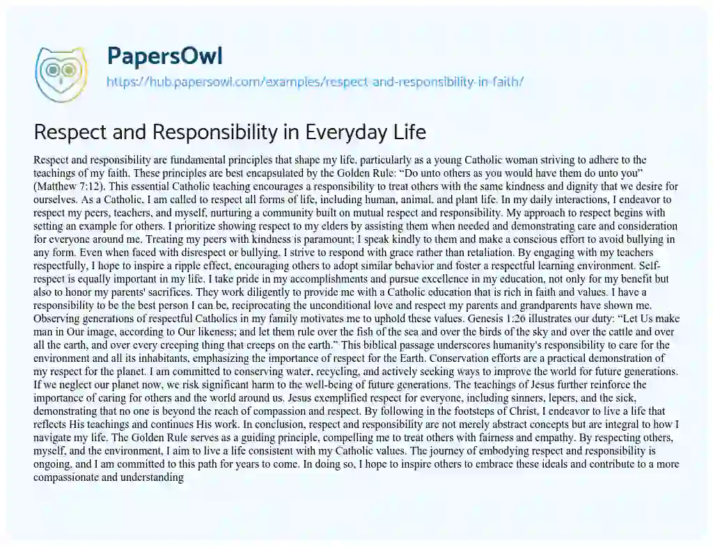 Essay on Respect and Responsibility in Everyday Life