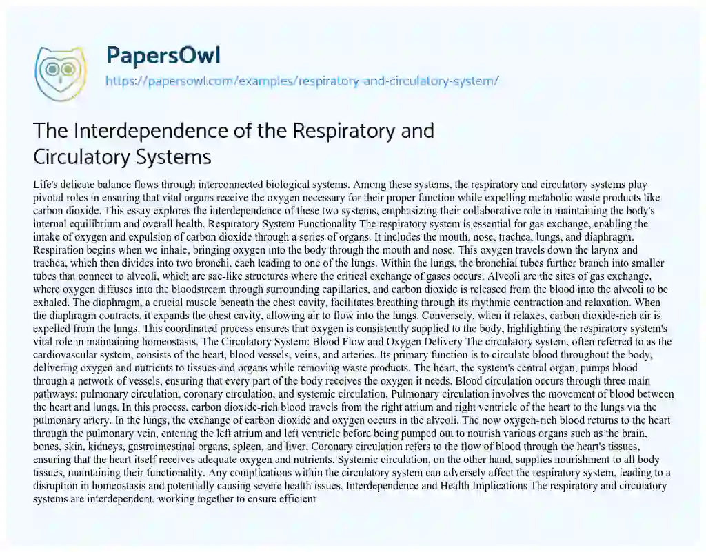 Essay on The Interdependence of the Respiratory and Circulatory Systems
