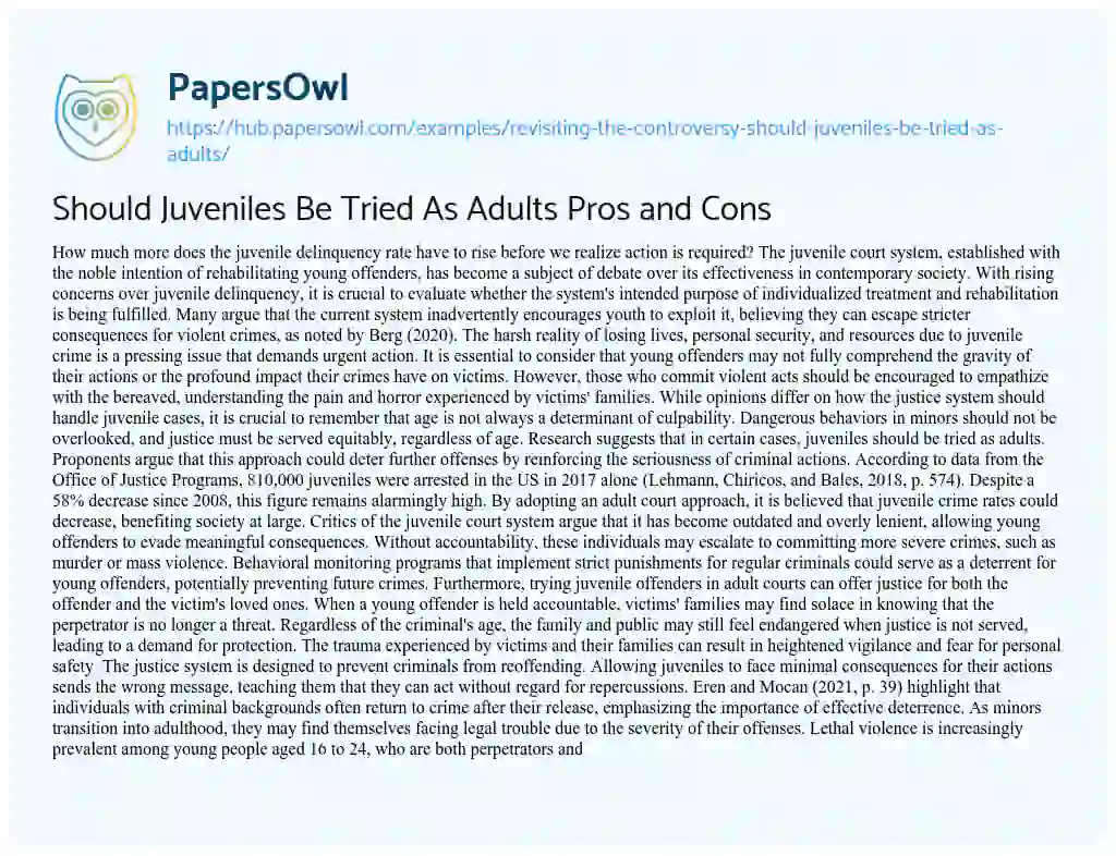 Essay on Should Juveniles Be Tried As Adults Pros and Cons