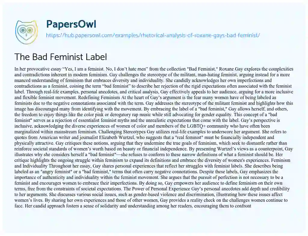 Essay on The Bad Feminist Label