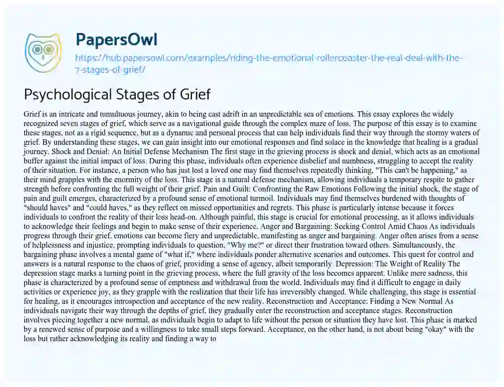 Essay on Psychological Stages of Grief