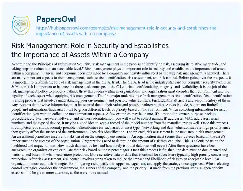 Essay on Risk Management: Role in Security and Establishes the Importance of Assets Within a Company