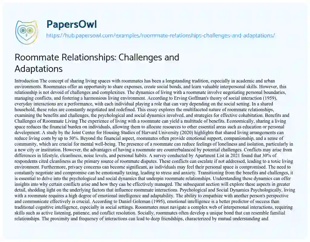 Essay on Roommate Relationships: Challenges and Adaptations