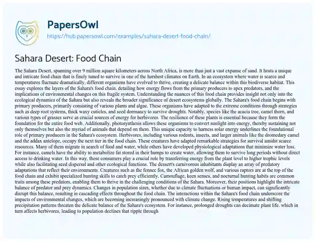 Essay on Sahara Desert: Food Chain