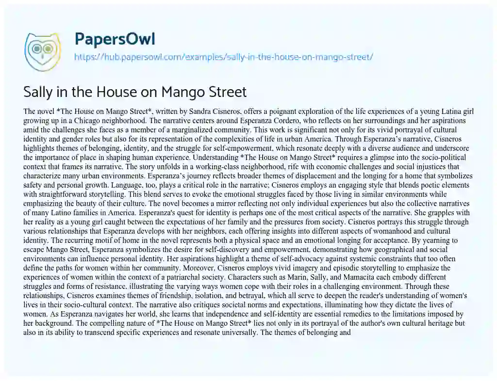 Essay on Sally in the House on Mango Street