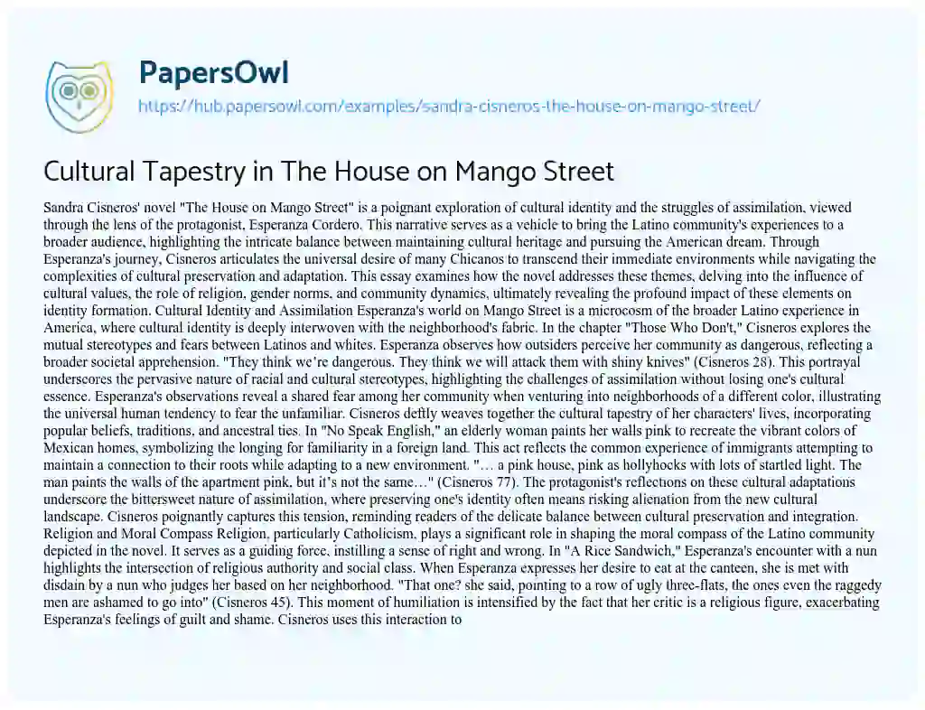 Essay on Cultural Tapestry in The House on Mango Street
