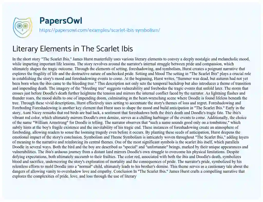 Essay on Literary Elements in The Scarlet Ibis