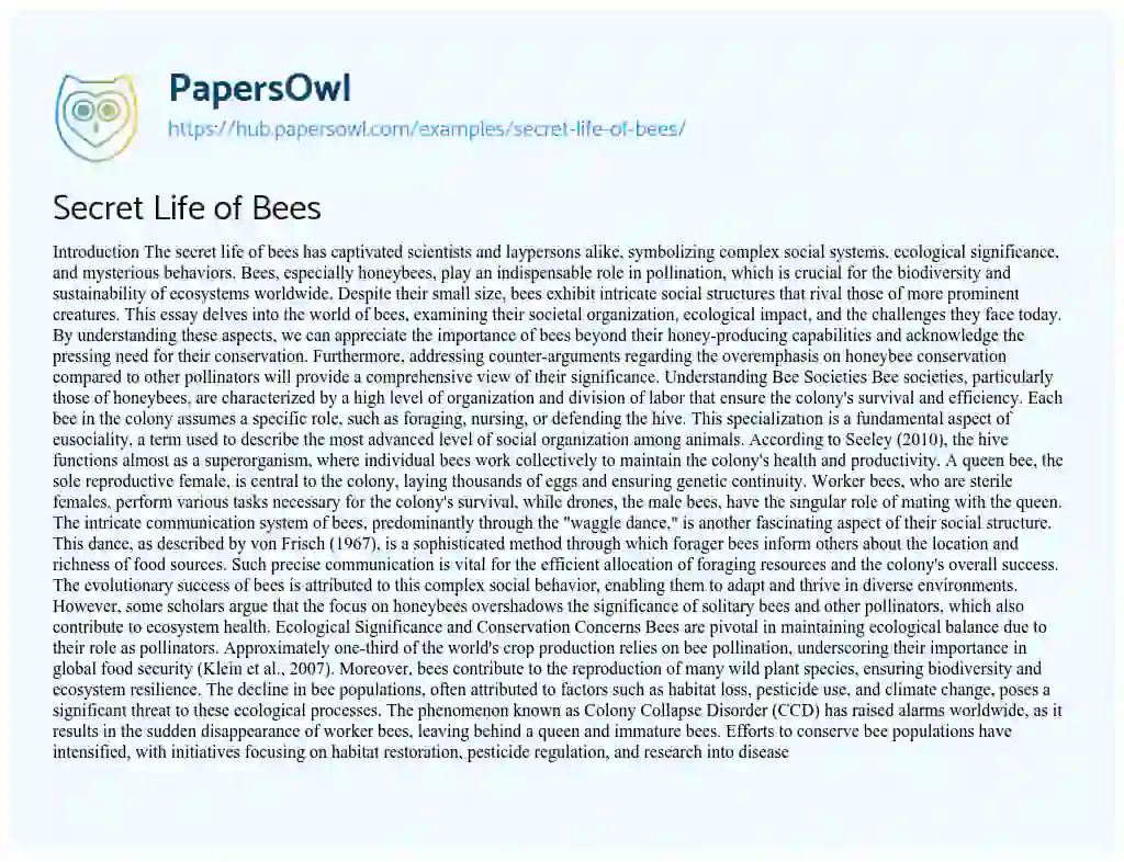 Essay on Secret Life of Bees