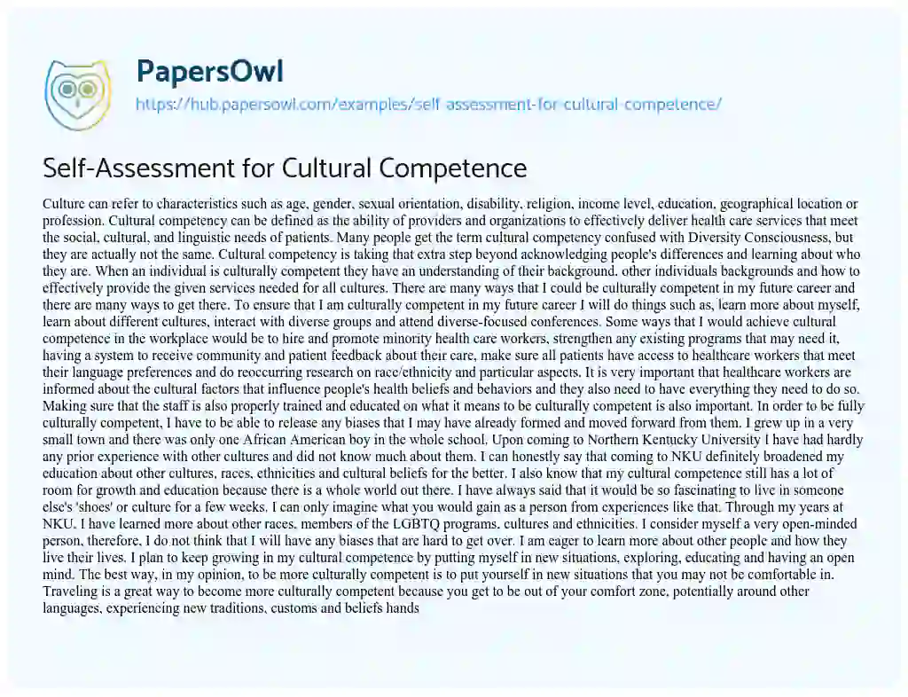 Essay on Self-Assessment for Cultural Competence