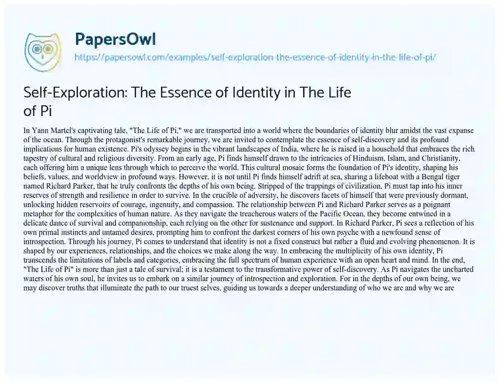 Essay on Self-Exploration: The Essence of Identity in The Life of Pi
